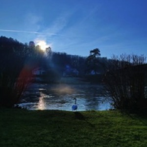 De la vallée de la Semoy à Charleville-Mézières, en hiver et avec du soleil ☀️ Chose rare et particulièrement appréciable 😎.#ardennes #winter #landscape